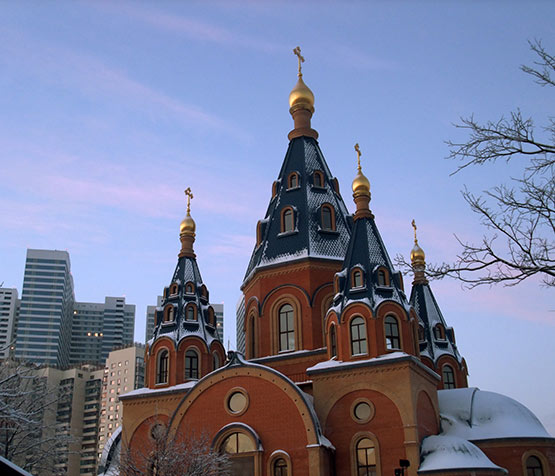 Державной иконы Божией Матери в Чертанове;2011